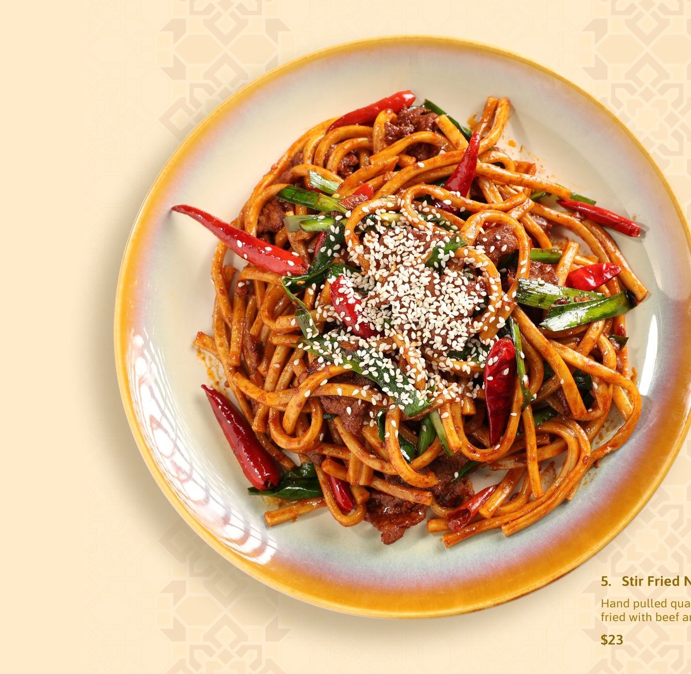 Stir Fried Noodle